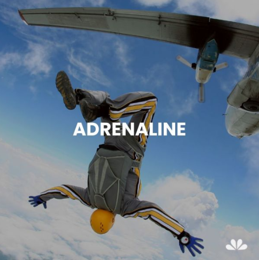 Golden Pack Adrenalina - Imagen 2